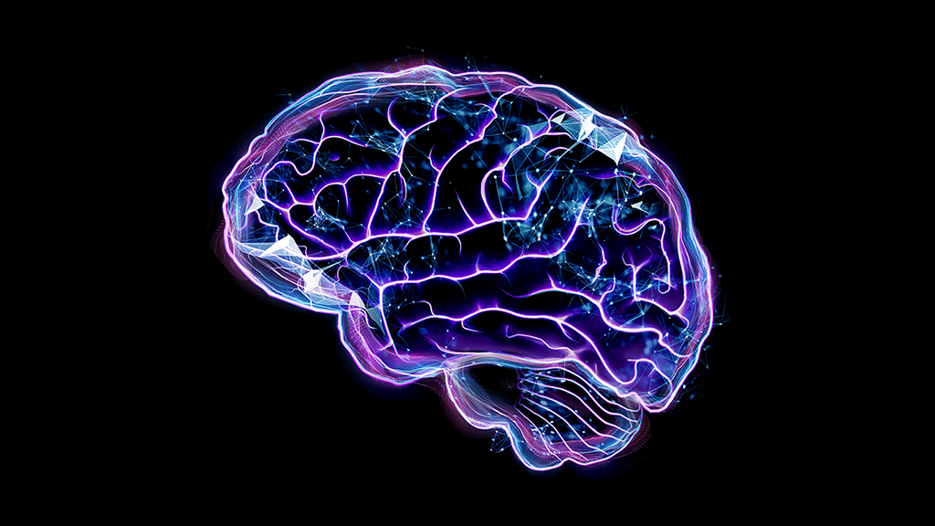 The Adaptive Mind