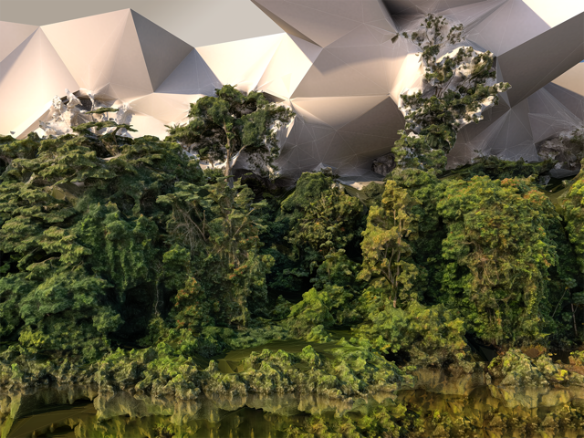 A view of the forest from the river